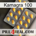 Kamagra 100 cialis2